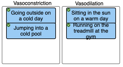 <p><span>Classify the situations into the correct boxes according to whether they would result in constriction of the dermal blood vessels (vasoconstriction) or dilation of the dermal blood vessels (vasodilation)</span></p>