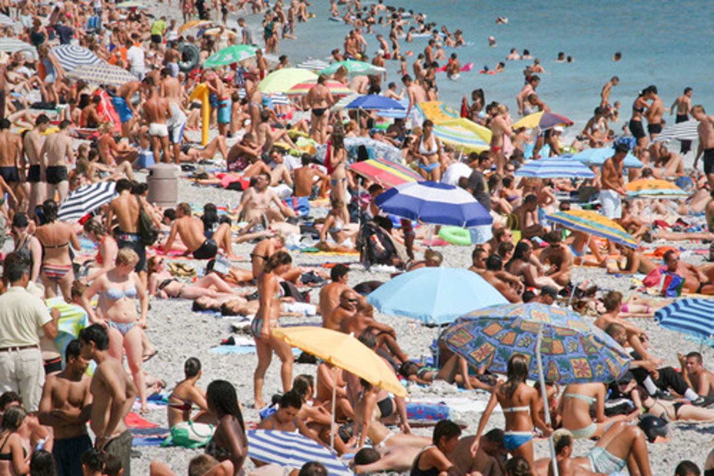 <p>mùa;</p><p>the holiday/tourist ______</p>