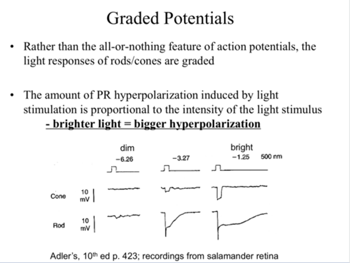 <p>Rather than the all or nothing feature of action potential, the light responses of rods/cones are _____</p>