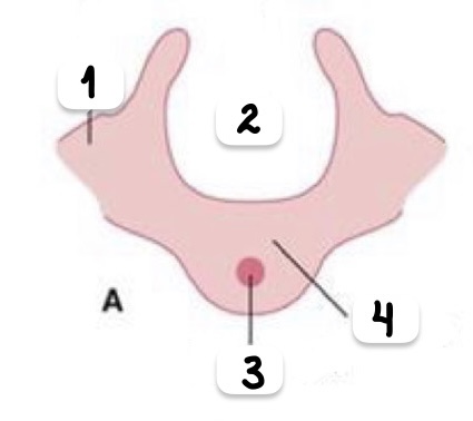 <p>Semana y rótulos</p>