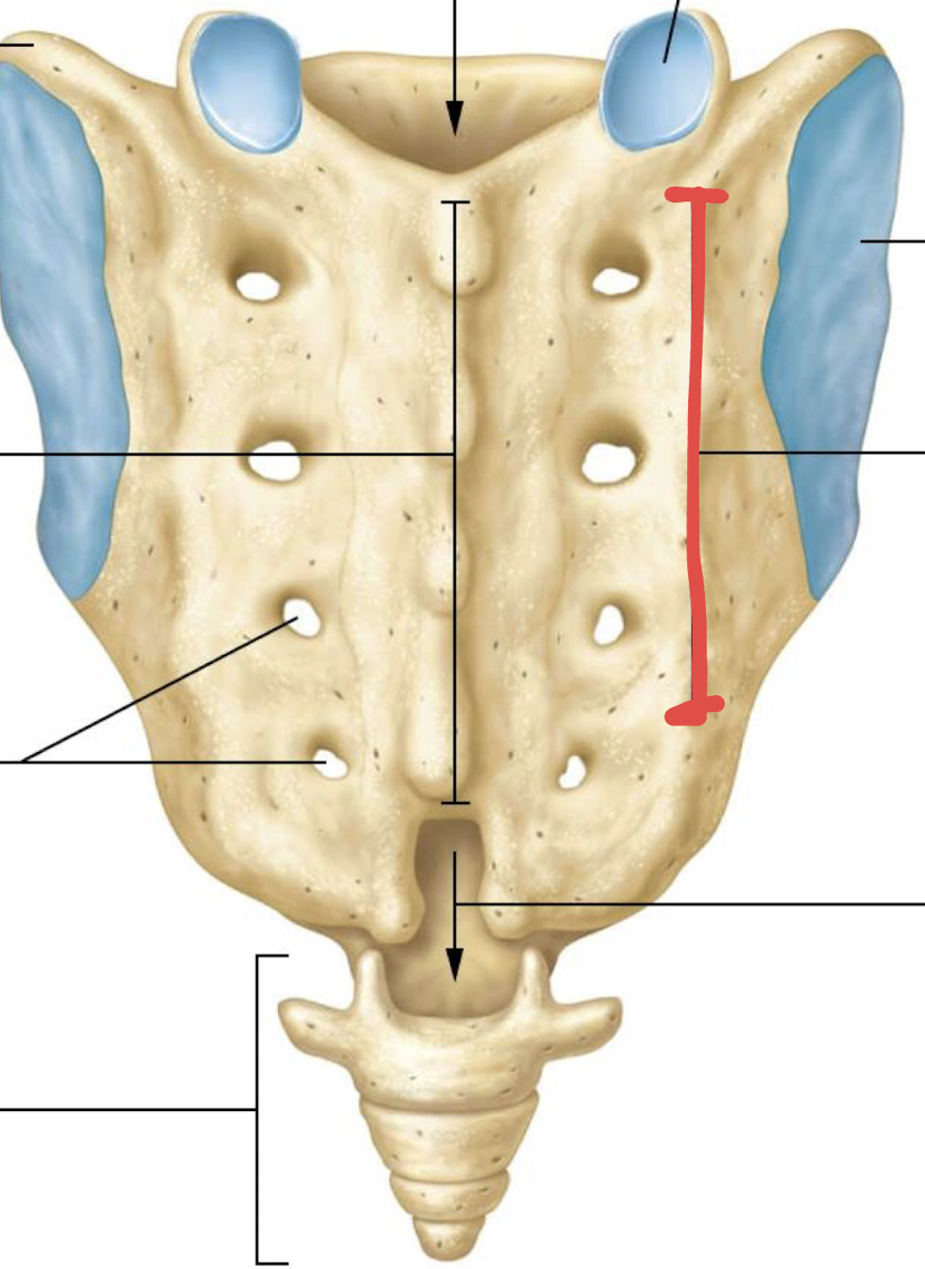 <p>what is this?</p>