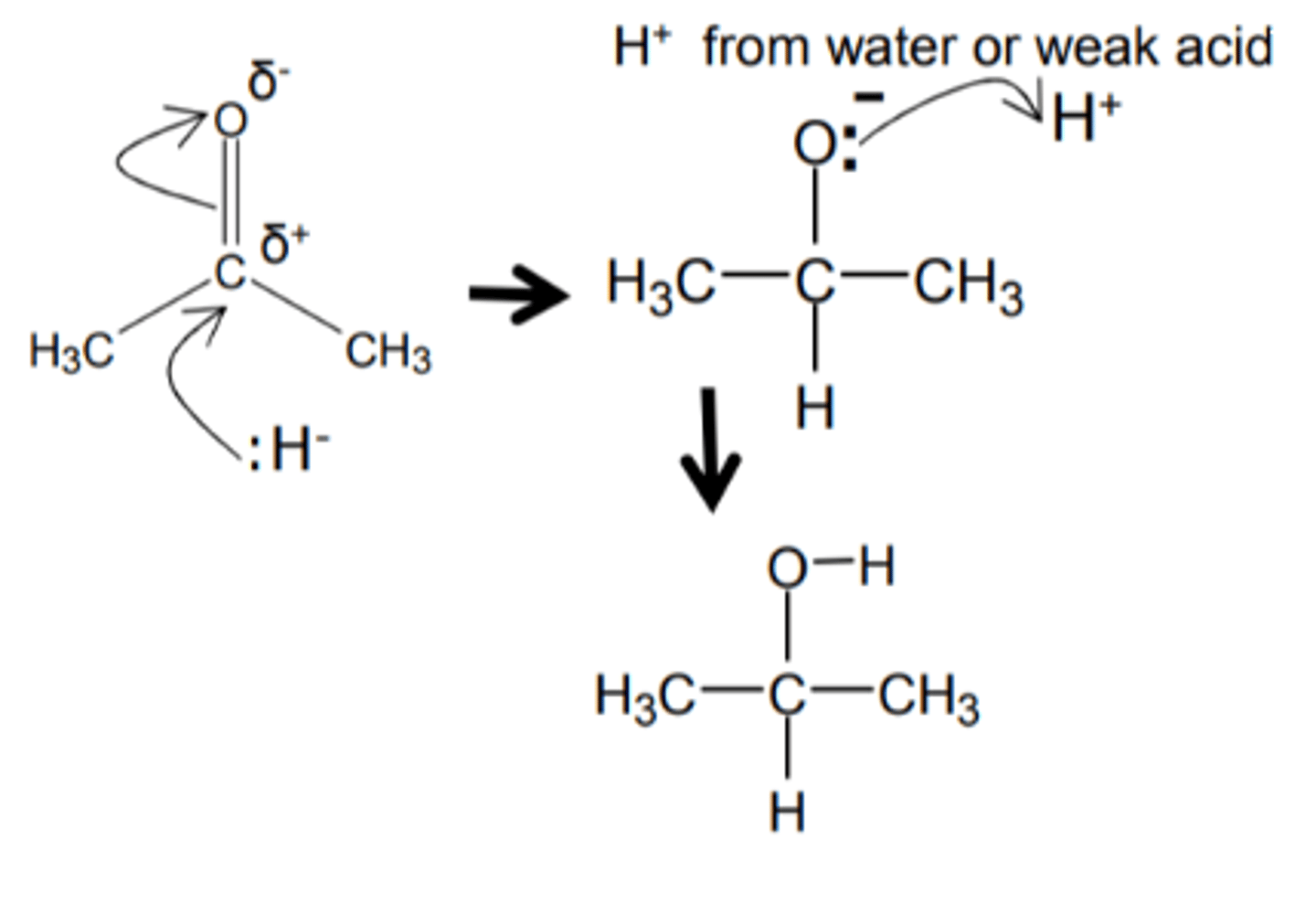 <p>forms a covalent bond and breaks a pi bond</p>