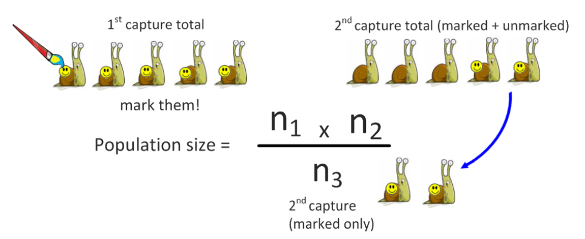 <p></p>