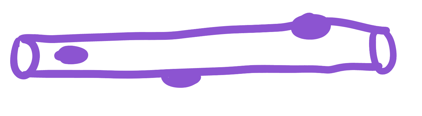 <p>This image represents what type of muscle tissue?</p>