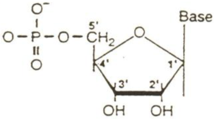 <p>what molecule is this? </p>