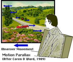 A depth cue whereby a difference in the apparent rate of movement of different objects provides information about the relative distance of those objects