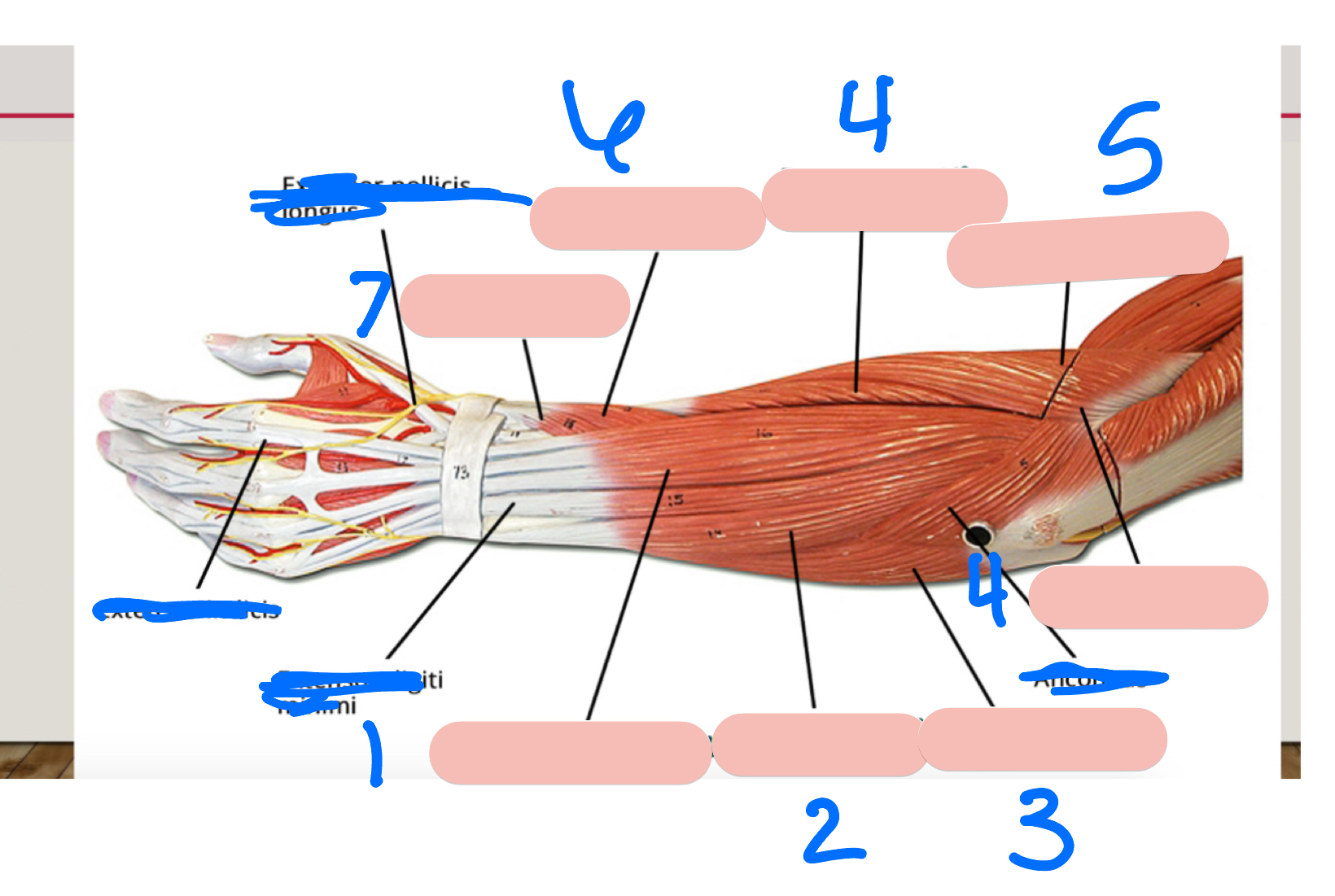 <p>1</p>