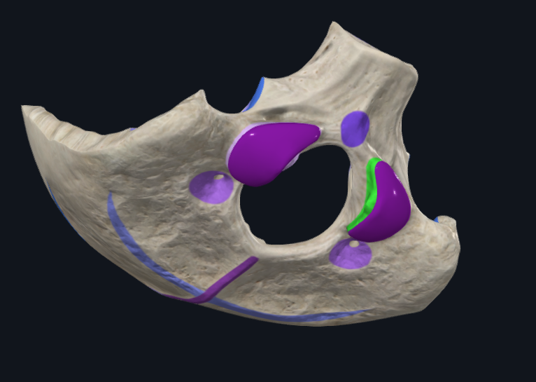 <p>What is highlighted in green</p>