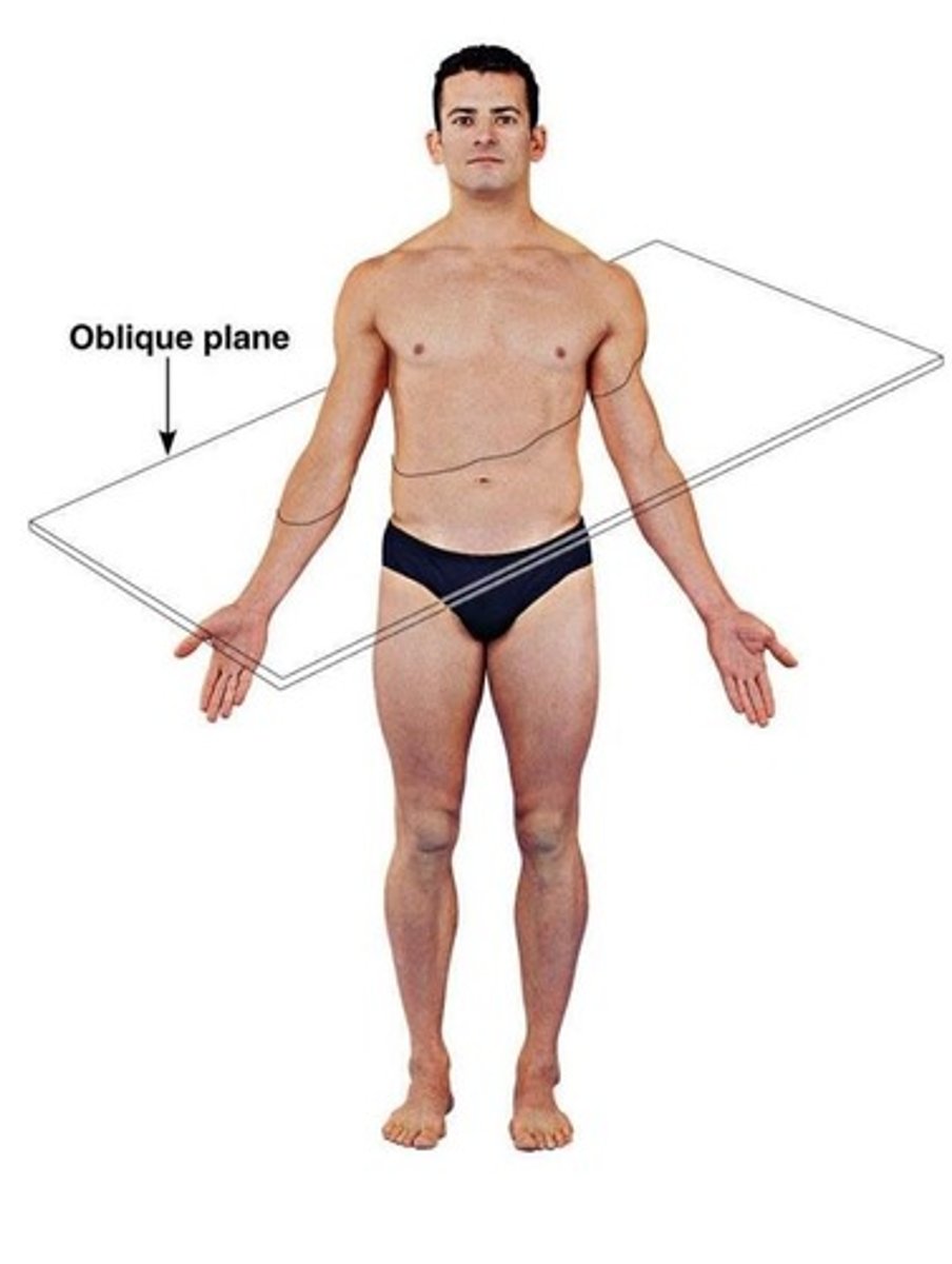 <p>An oblique plane passes through the body/organ at any angle other than a 90 degree angle.</p>