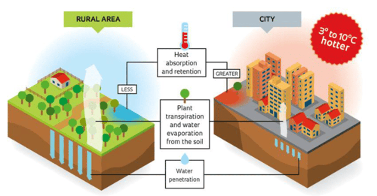 <p>Warmer temps are experienced in urban landscapes due to dark surfaces with low albedo that absorb sunlight &amp; release it as infrared radiation (heat)</p>
