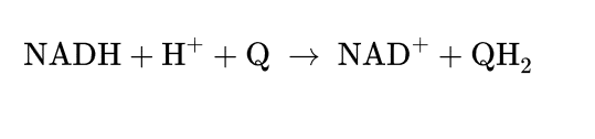 <p>COmplex 1= NADH dehydrogenase</p>