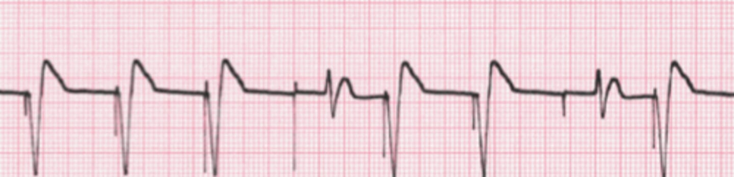 <p>What are the findings</p>