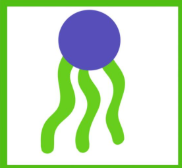 <p>What macromolecule is this and what is the molecule called?</p>
