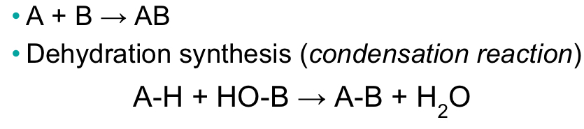 Forms chemical bonds