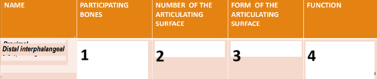 <p>2</p>