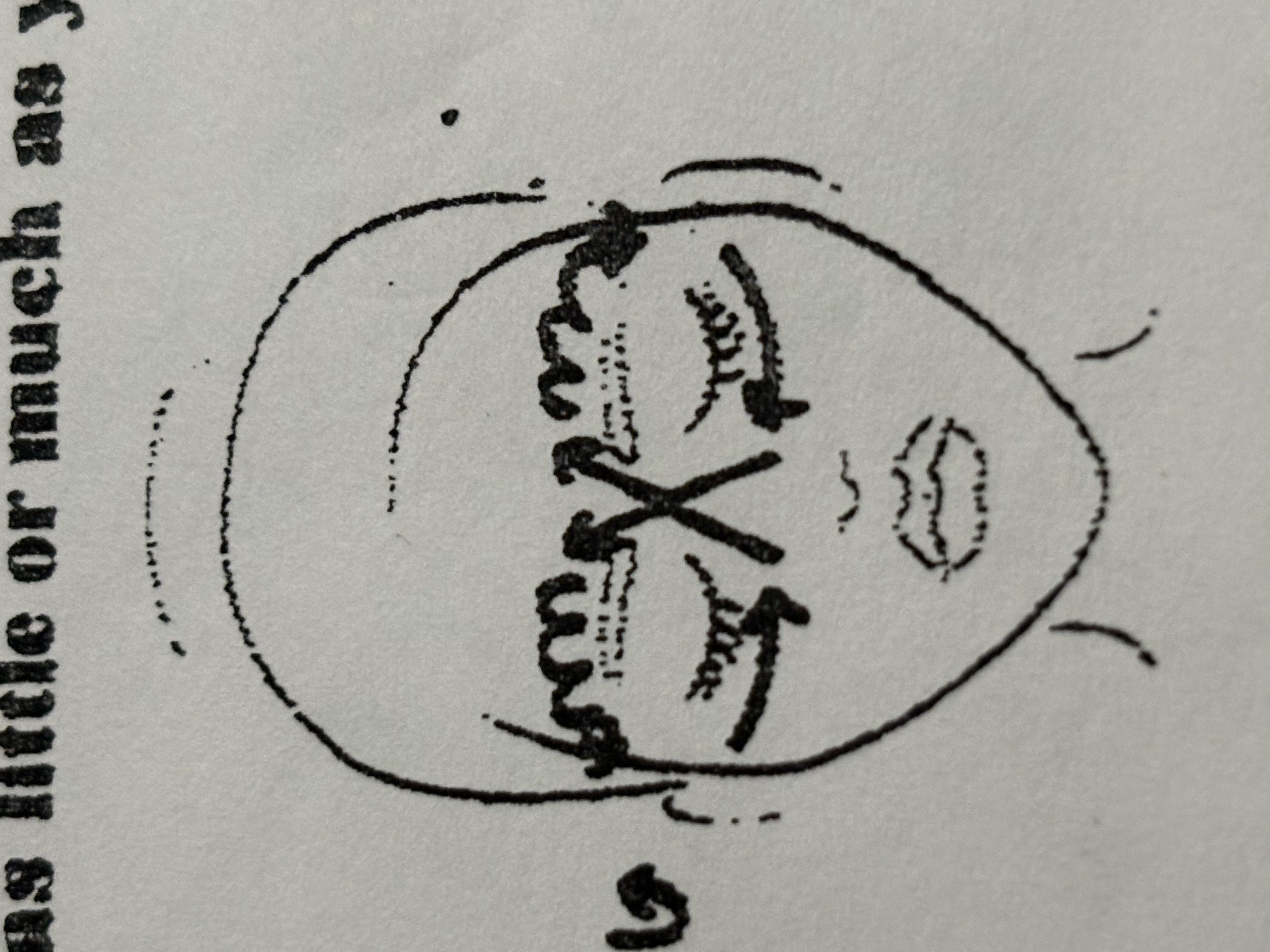 <p>Third step</p>