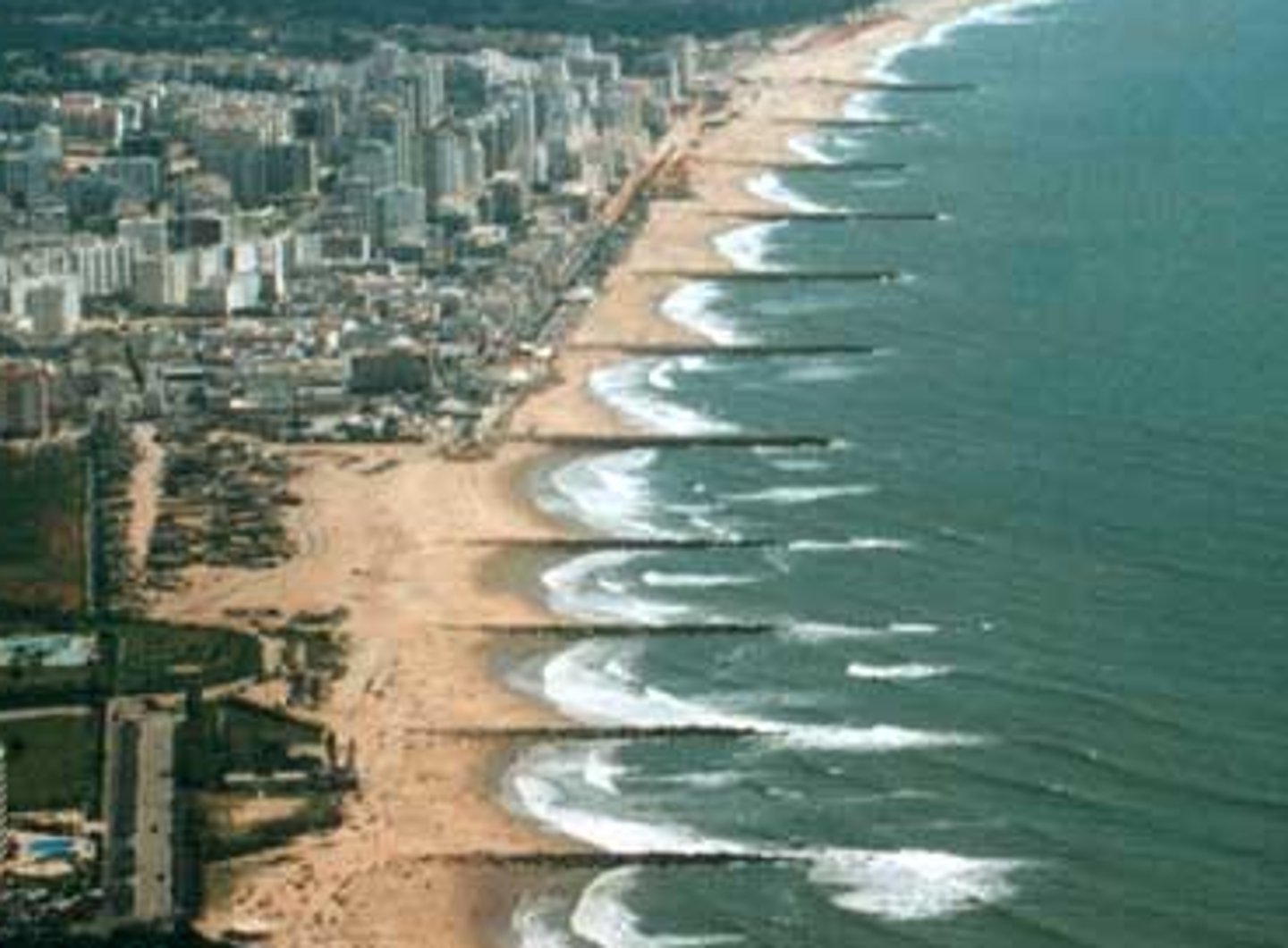 <p>Wooden or concrete barriers at right angles to the beach</p>