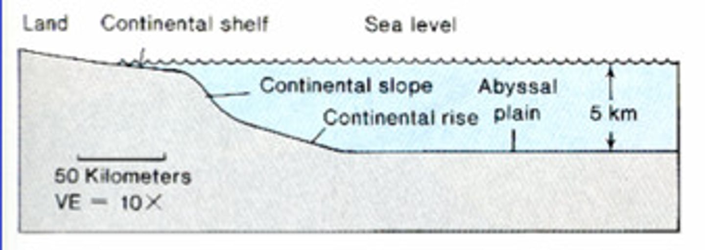 <p>a continental margin that does not occur along a plate boundary, does not display seismicity</p><p>older, higher sediment supply</p>
