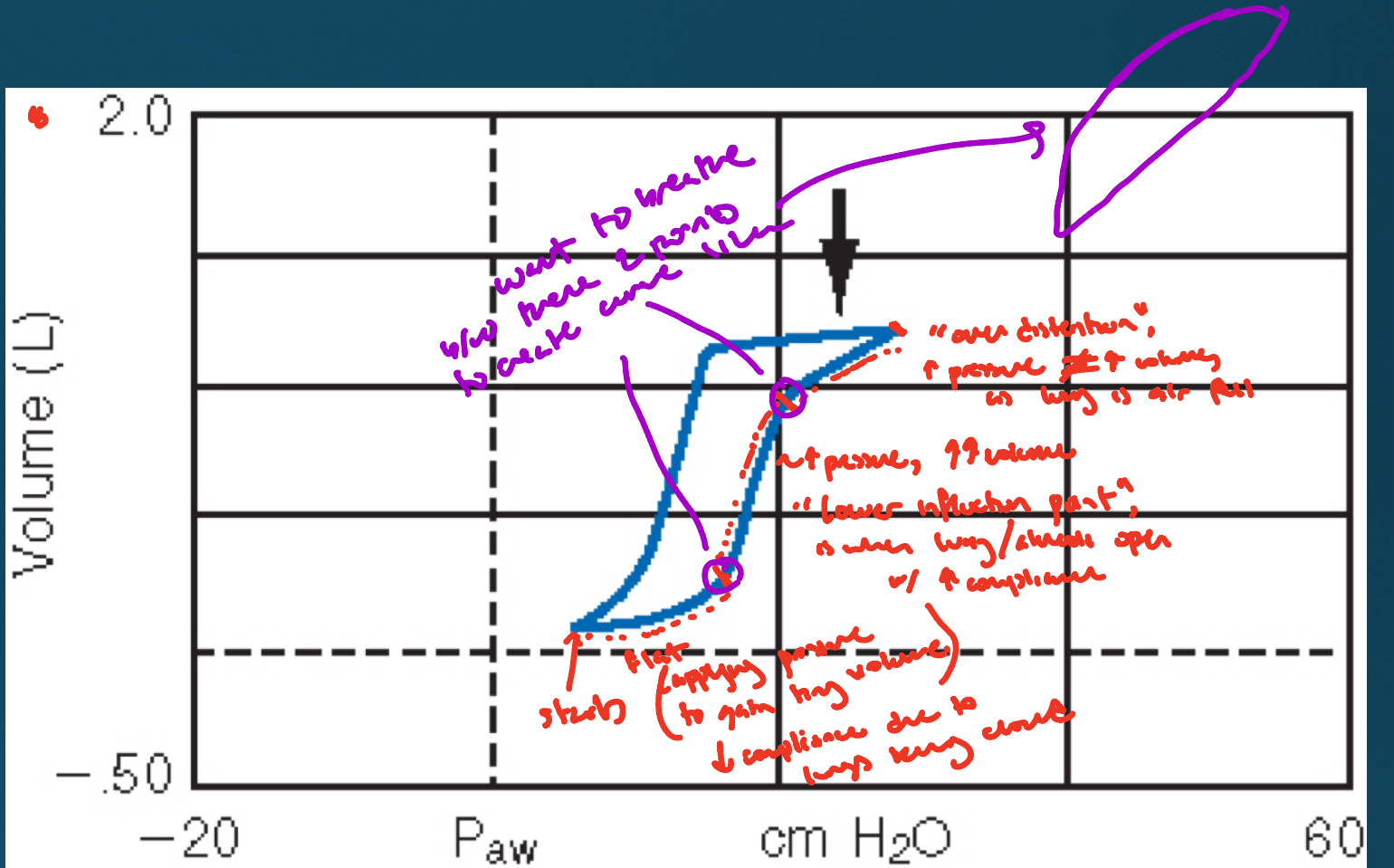 <p>Bottom circle: applying lots of pressure but to gain tiny volume. Due to decreased compliance due to lungs being closed.</p><p>Middle area: “Lower inflection point” where alveoli are open with increased compliance. This shows increased pressure producing lots of volume.</p><p>Top area: “Over distention” where increased pressure does not increase volume as lungs are full.</p><p>Summary: want to breathe in that middle area, as want to produce the shape drawn in the image.</p>