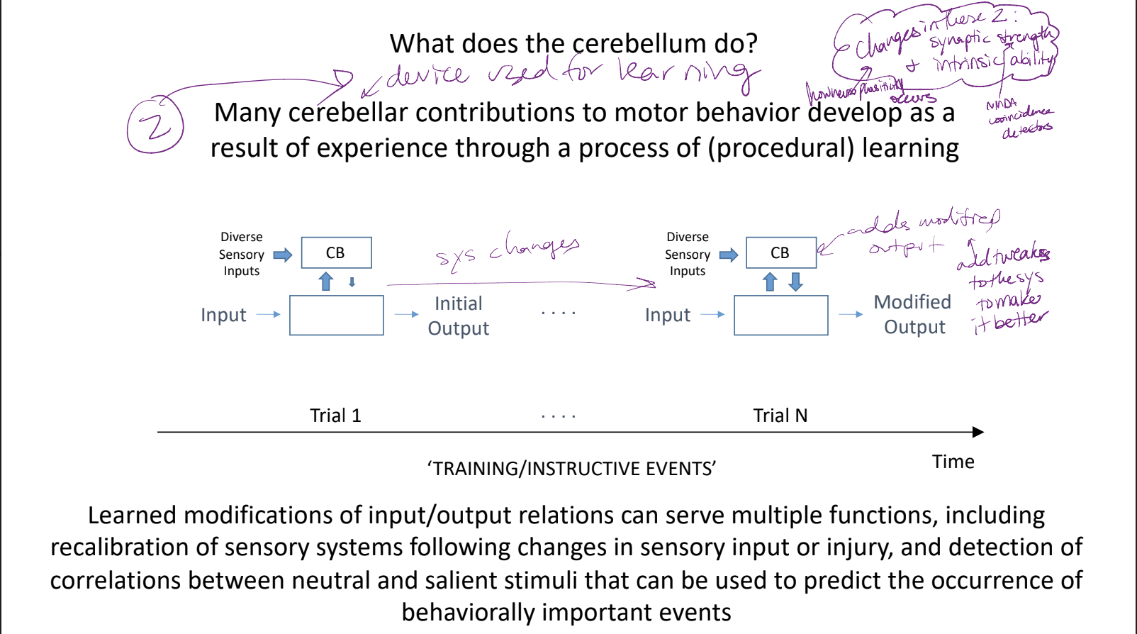 * there is a diverse sensory input to the cerebellum imparted on a reflex system → makes the reflex system work better (changes it) through training
* becuz cerebellum is a device used for learning → its contributions to motor behavior develop as a result of experience through process of procedural learning
* changes in synaptic strength (NMDA coincidence detectors) and intrinsic ability →which is how neuroplasticity comes to be)