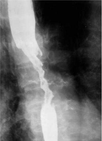 <p>What is this </p>