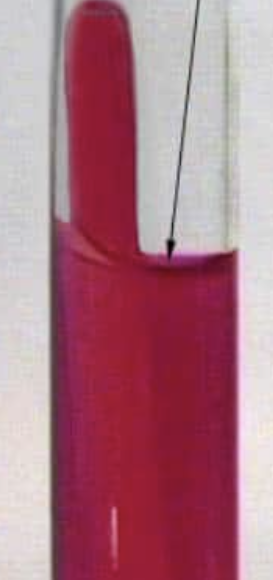 <p>Is this a positive or negative&nbsp;Carbohydrate fermentation test?</p>