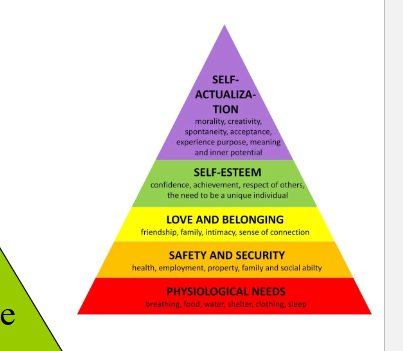 <ul><li><p>self actualization</p></li><li><p>esteem</p></li><li><p>belongingness, love</p></li><li><p>safety</p></li><li><p>physiological</p></li></ul><p></p>