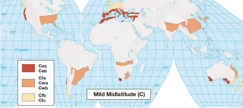 <p><strong>mild midlatitude </strong>climates characteristics:</p>
