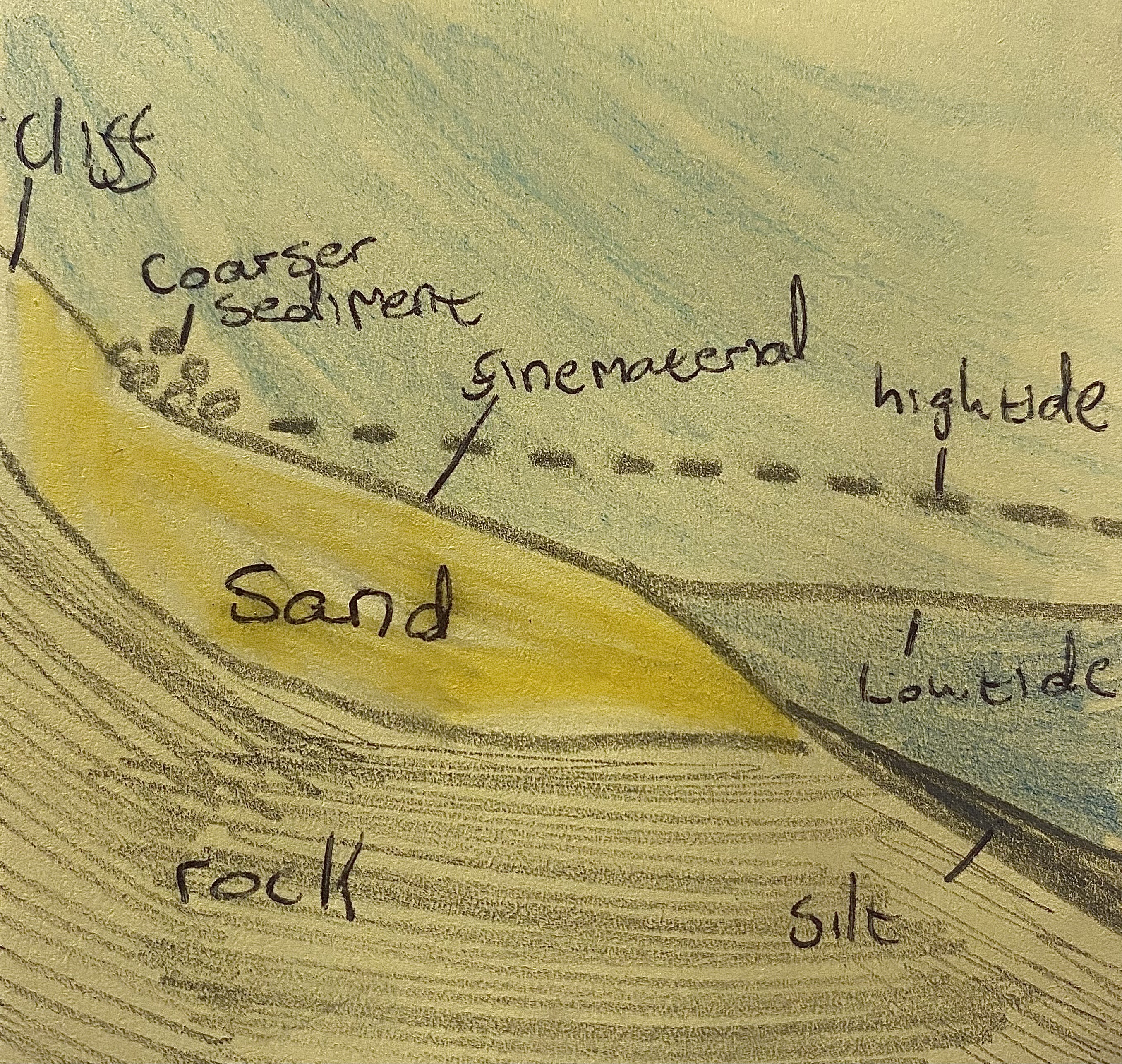 <p>A beach is a gently sloping area of sand and shingle found between high and low tide marks, formed by deposition. The swash carries and deposits material on the shore, while the weaker backwash moves only finer particles back. Coarser material gathers at the backshore, and finer material at the foreshore. During storms, strong waves can form storm beaches by throwing large rocks above the high tide line. An example is the sandy beach at Ballybunion, Co. Kerry.</p>
