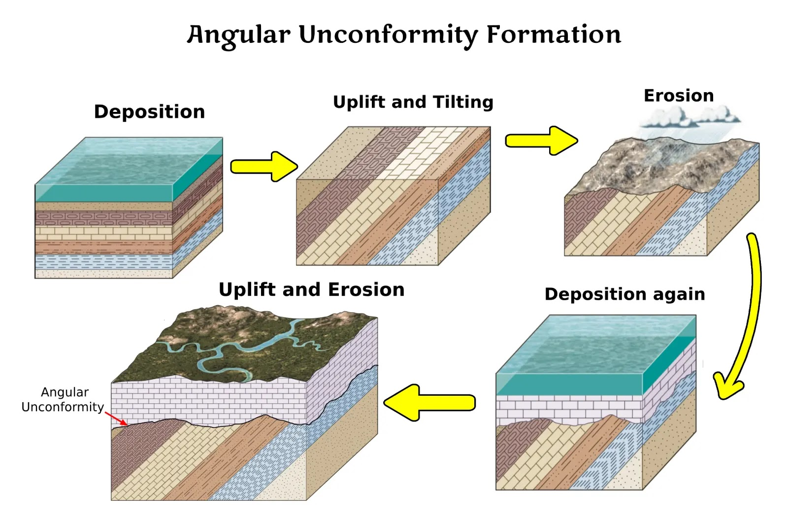 <ul><li><p>when an unconformity has early beds folded</p></li><li><p>over time, the tilted beds are covered up by horizontal layers</p></li></ul><p></p>