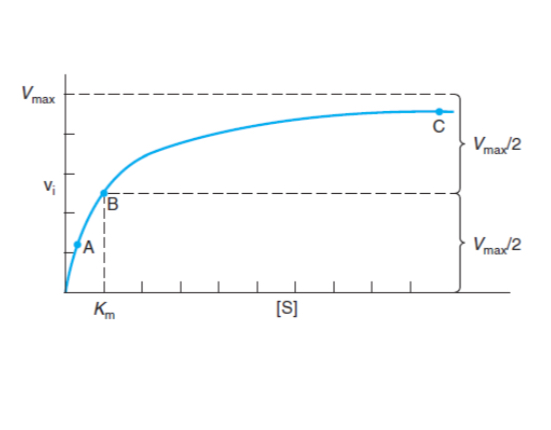 <p>The relationship between reaction rate (V0) and substrate concentration under physiological conditions.</p>