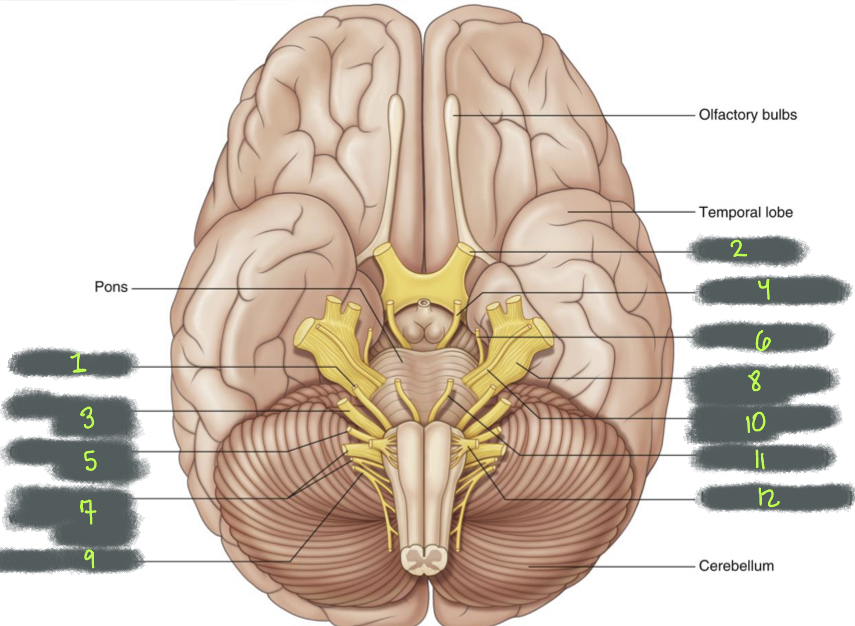 What is structure 7?