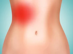 <p>including your gallbladder on the far right</p>