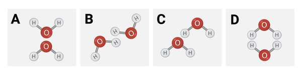 <p><span>Which diagram shows how water molecules are most likely to interact?&nbsp;</span></p>