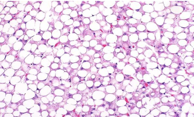 <p>what does the image show?</p>