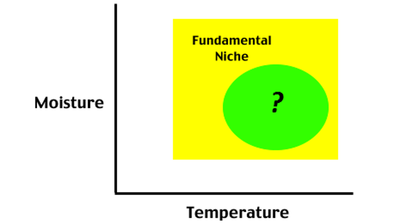<p>the range of abiotic and biotic conditions under which a species actually lives, limited by competition and other limiting factors of population size</p>