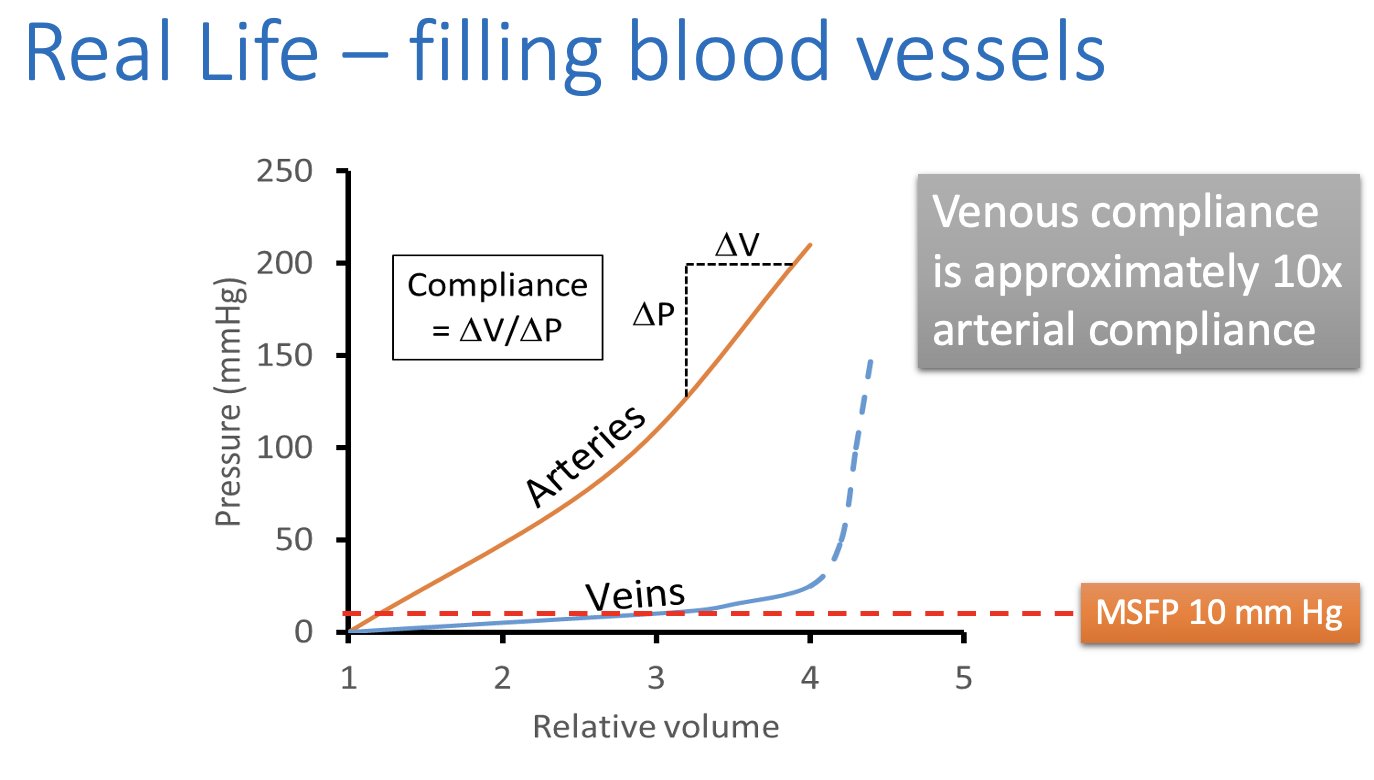 <ul><li><p>Much less compliant</p></li><li><p>causes a steep ris in presure due to movement of blood</p></li></ul><p></p>