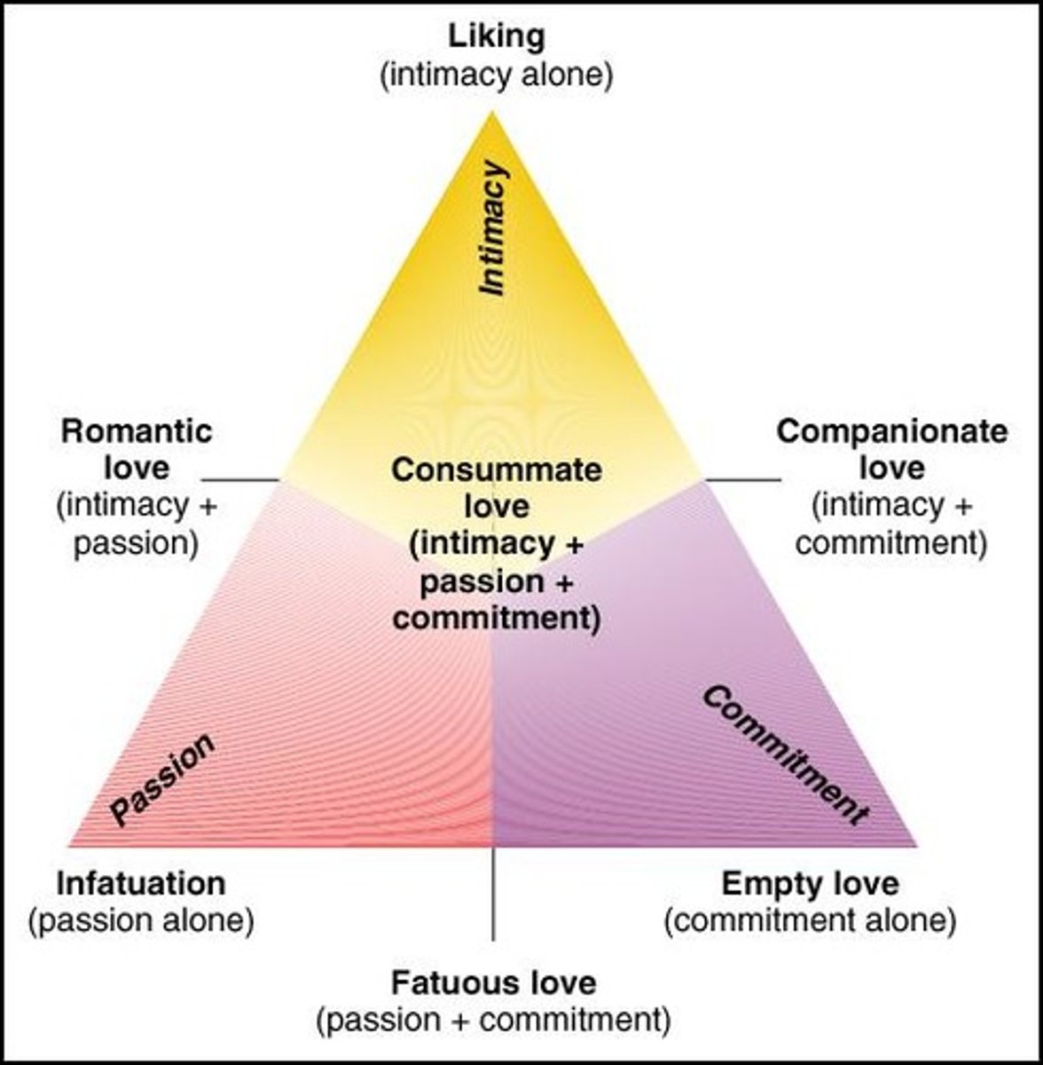 <p>3 components:</p><p>1. Passion (builds and then fades)</p><p>- passion alone is called infatuation</p><p>2. Intimacy (feeling of closeness)</p><p>-intimacy alone is called liking</p><p>3.Commitment</p><p>- commitment alone is empty love</p><p>OTHER TYPES:</p><p>-Romantic love: intimacy and passion</p><p>-Companionate love: intimacy and commitment</p><p>-Fatuous love: passion and commitment</p><p>-Consummate love: intimacy, passion, and commitment. This is the hardest type of love</p><p>PPl move in and out of these types of love</p>