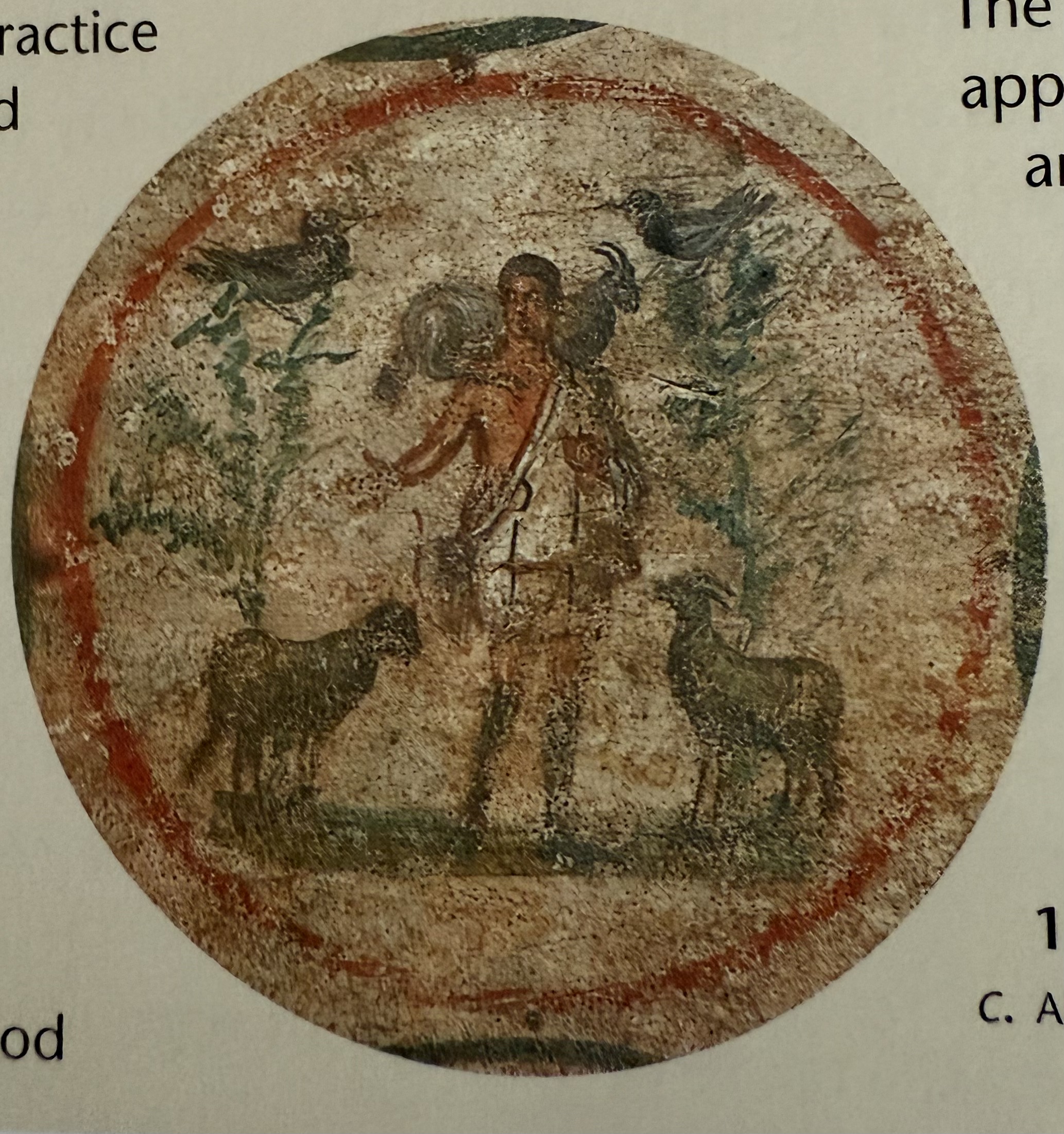 term image