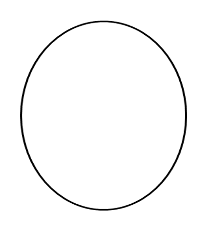 <p>What egg shape is this?</p>