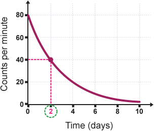 <ul><li><p>show the rate of decay for radioactive elements</p></li><li><p>show the relationship between half-life and percent of the remaining original substance</p></li></ul><p>total of percent should equal to 100%</p>