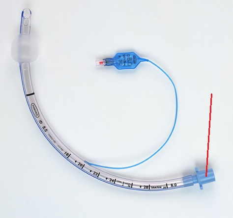 <p>The end of the ET tube that connects to the breathing circuit</p>