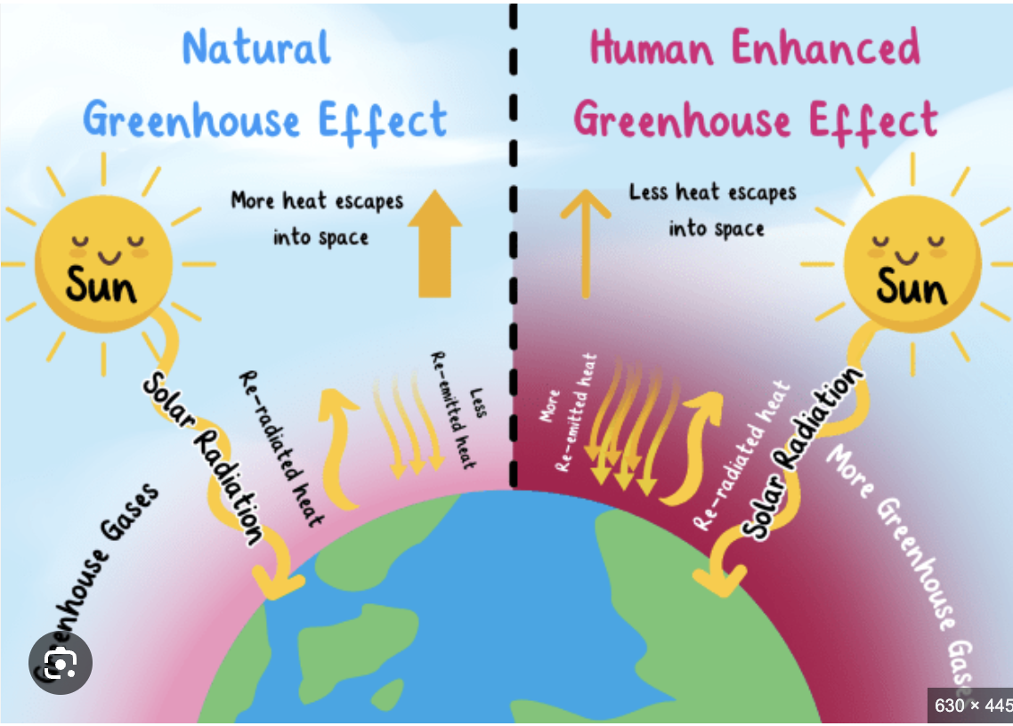 <p>Greenhouse effect</p>