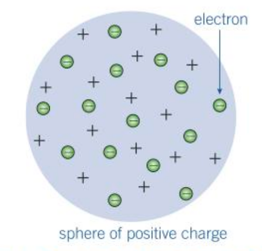 <p>J.J. Thomson said that the tiny negatively charged electrons must be embedded in a cloud of positive charge. He knew that the atoms themselves carry no overall charge, so any charges in an atom must balance out. He imagined the electrons as the bits of plum in a plum pudding.</p>