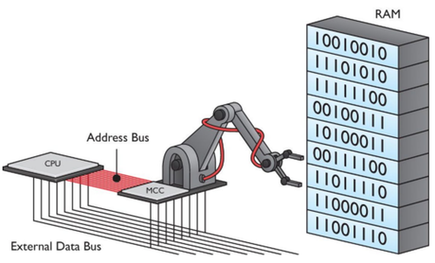 <p>Pathway from memory to processing unit that carries the address in memory to and from which data is transferred.</p>