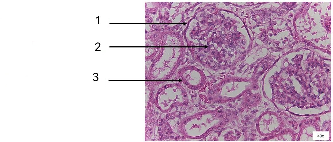 <p>Label all parts</p>