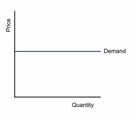 <p>Straight horizontal line; No slope</p><p>Describes Agricultural Market</p>