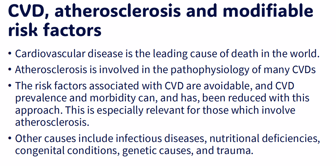 <p>CVD, atherosclerosis and modifiable risk factors (SUMMARY)</p>