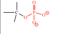 <p>-phosphate </p>