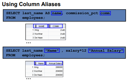 <p>Column Alias</p>